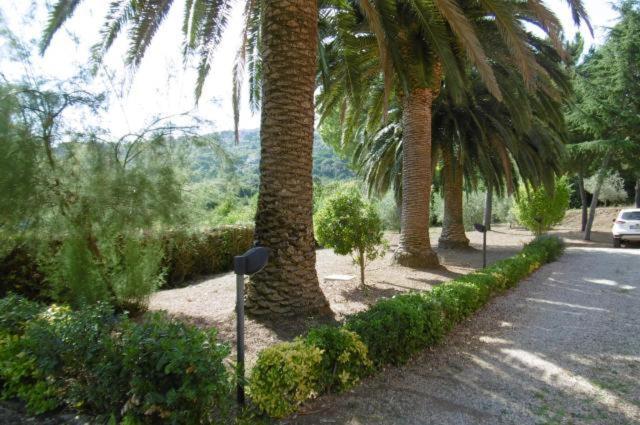 Villa Vanna Trilo -Quadrilocale Capoliveri  Luaran gambar
